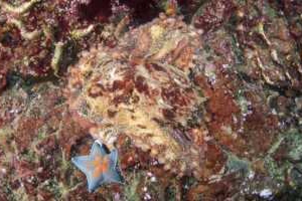 Kraken сайт зеркала krakens15 at