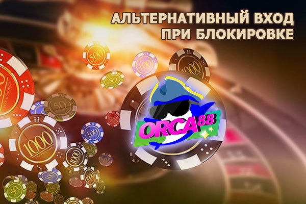 Kraken гидра