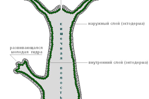 Что такое кракен шоп